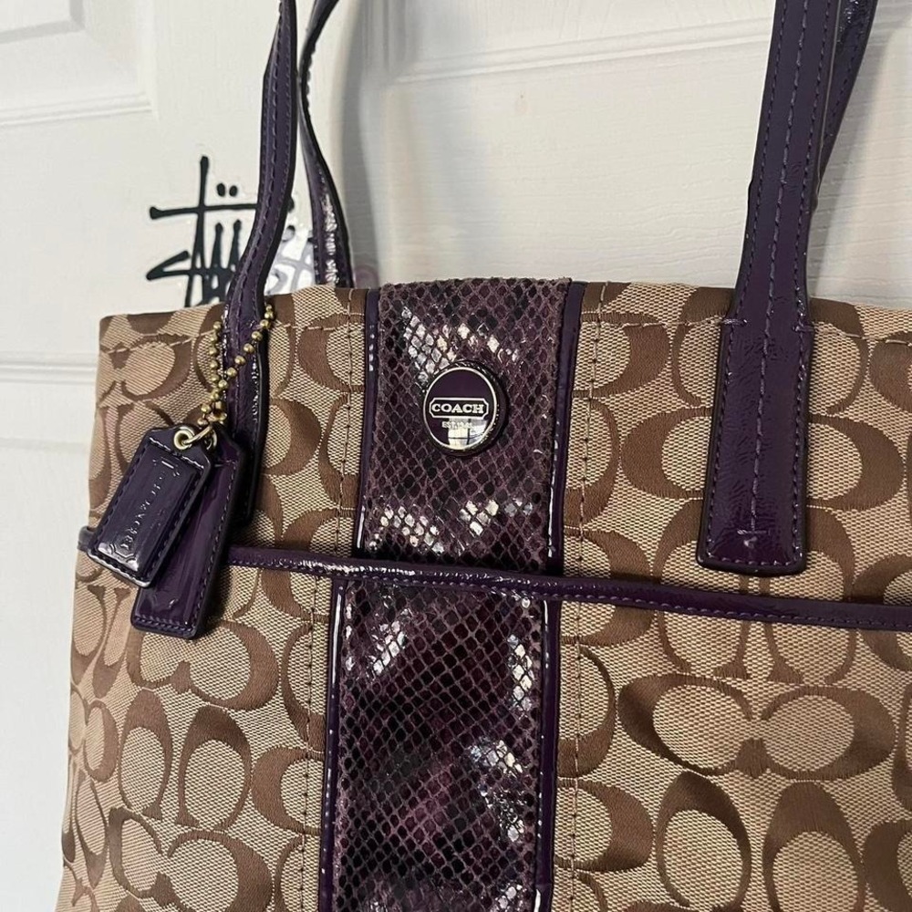 Y2k 2000s Coach Stripe Python Tote Shoulder Bag / Han… - Gem